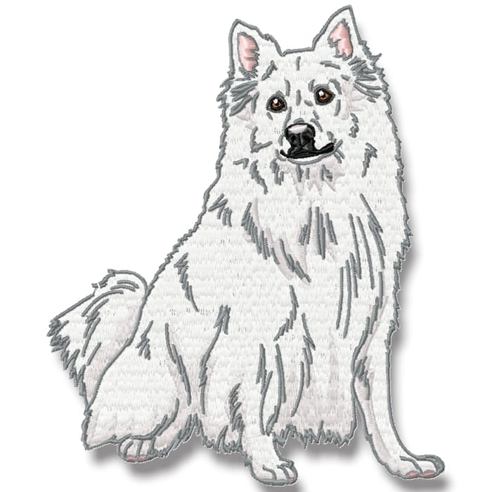 American Spitz Realistic