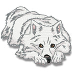 American Spitz Realistic