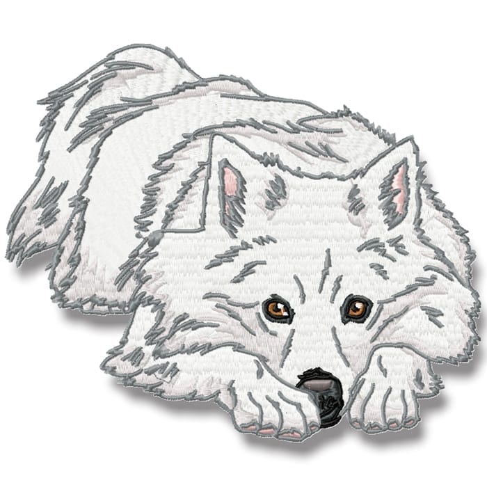 American Spitz Realistic
