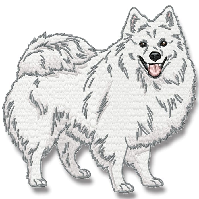 Realistic American Eskimo