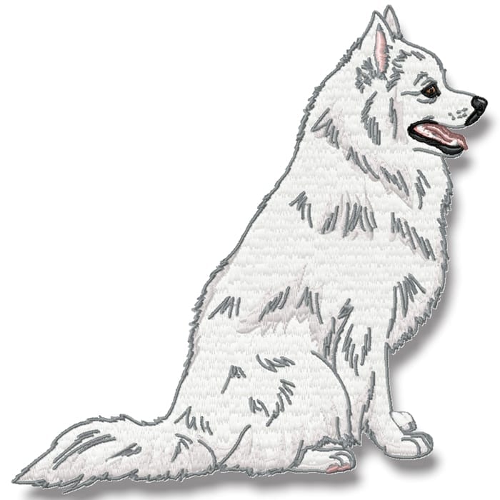American Spitz Realistic
