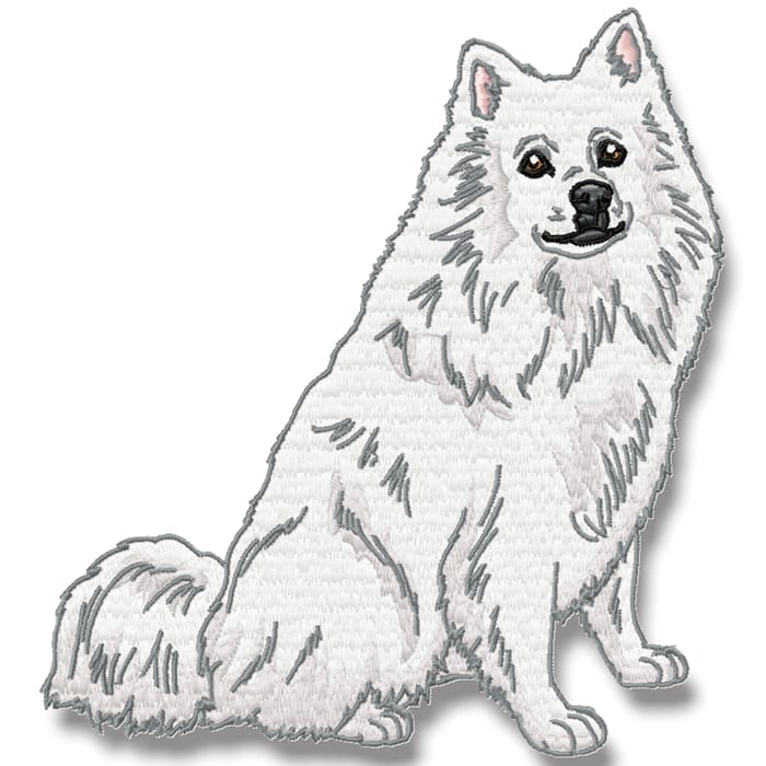 American Spitz Realistic