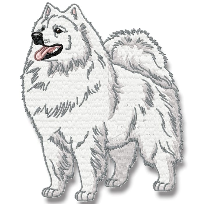 American Spitz Realistic