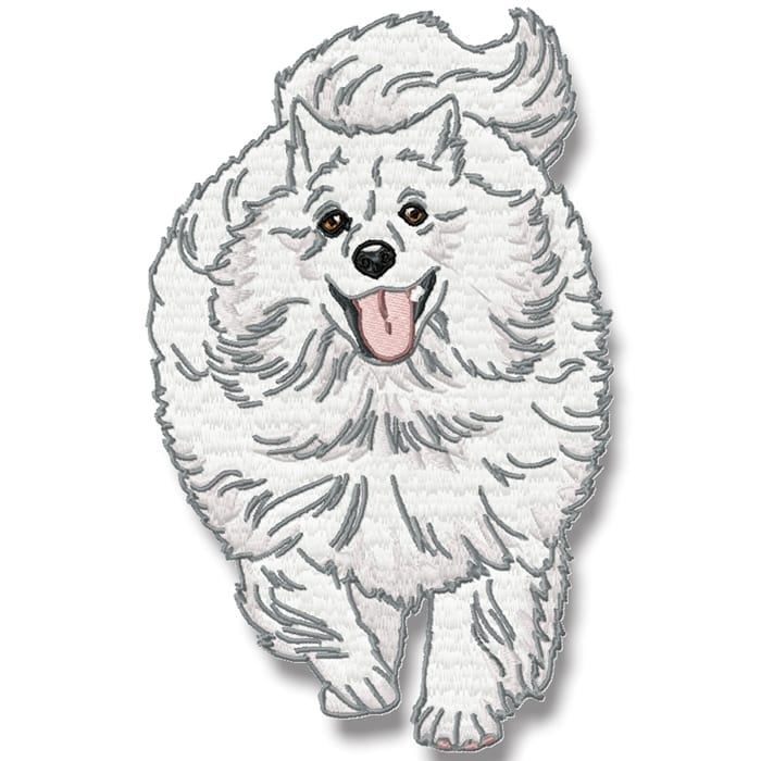 American Spitz Realistic