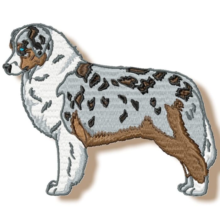 Australian Shepherd Realistic