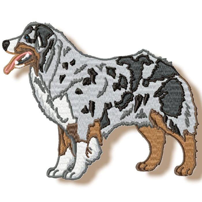 Australian Shepherd Realistic
