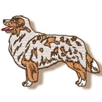 Australian Shepherd Realistic