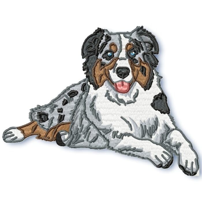 Australian Shepherd Realistic