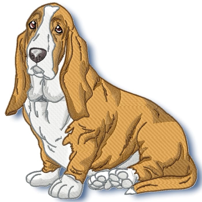 Basset Hound Realistic