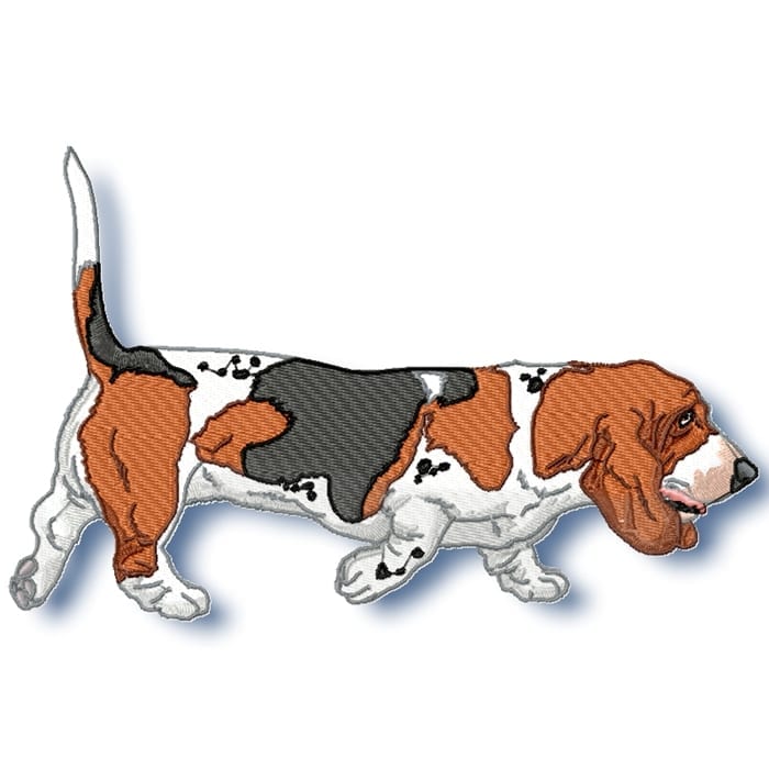 Basset Hound Realistic