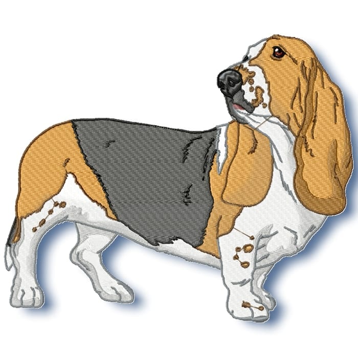 Basset Hound Realistic
