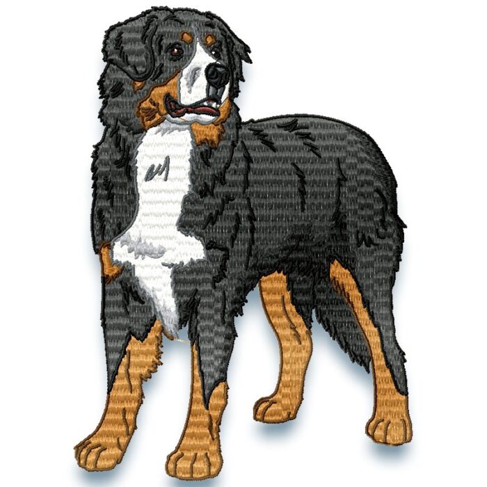 Bernese Mountain Dog Realistic