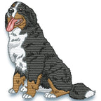 Bernese Mountain Dog Realistic