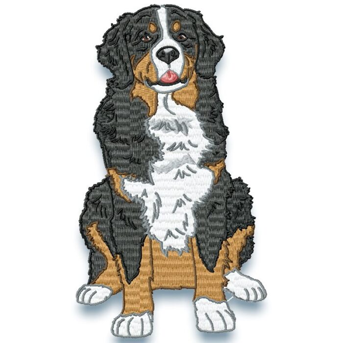 Bernese Mountain Dog Realistic