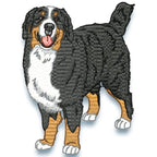 Bernese Mountain Dog Realistic