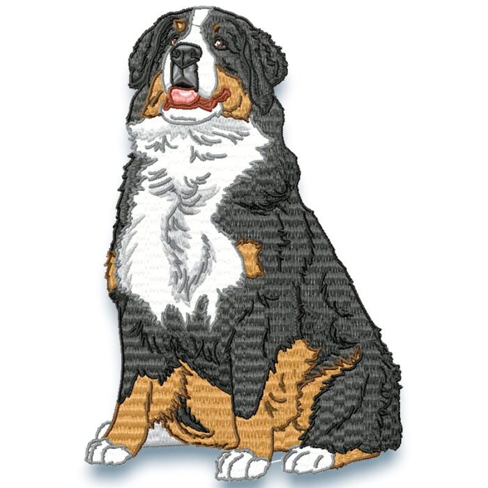 Bernese Mountain Dog Realistic