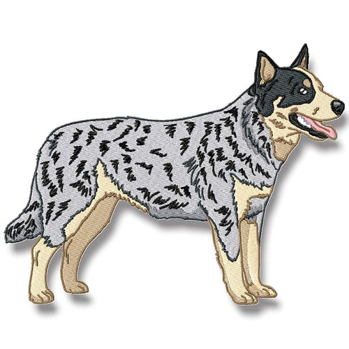 Blue Heeler Realistic