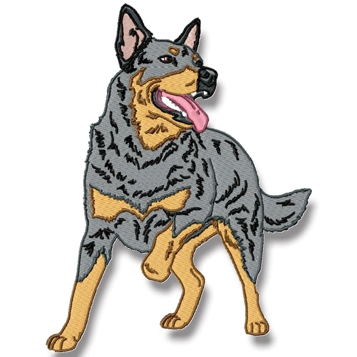 Realistic Blue Heeler