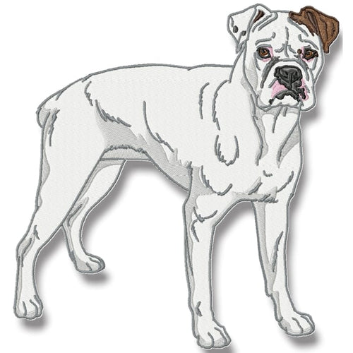 Realistic Boxer