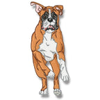 Boxer Realistic Set