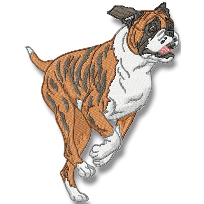 Boxer Realistic Set