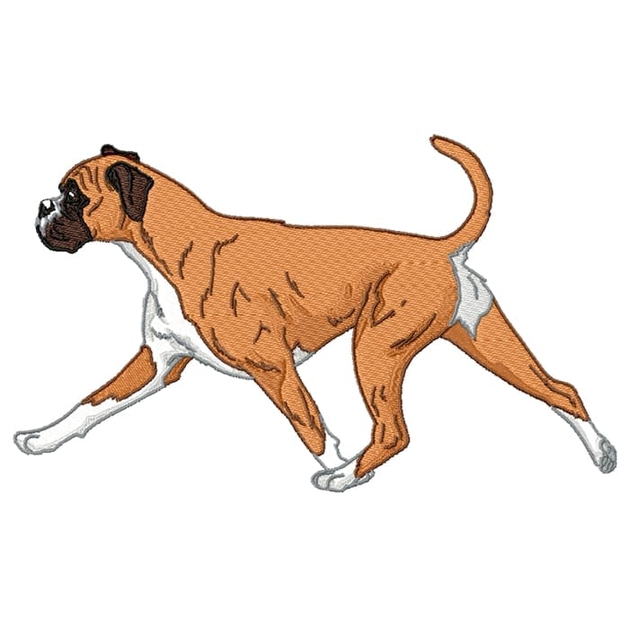 Boxer Realistic Set