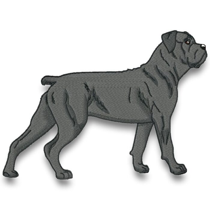 Cane Corso Realistic