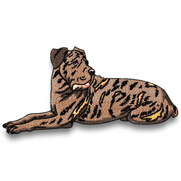 Cane Corso Realistic