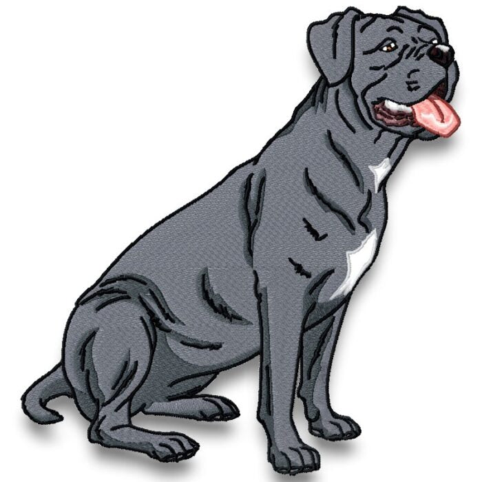 Cane Corso Realistic