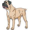 Cane Corso Realistic