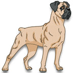 Cane Corso Realistic