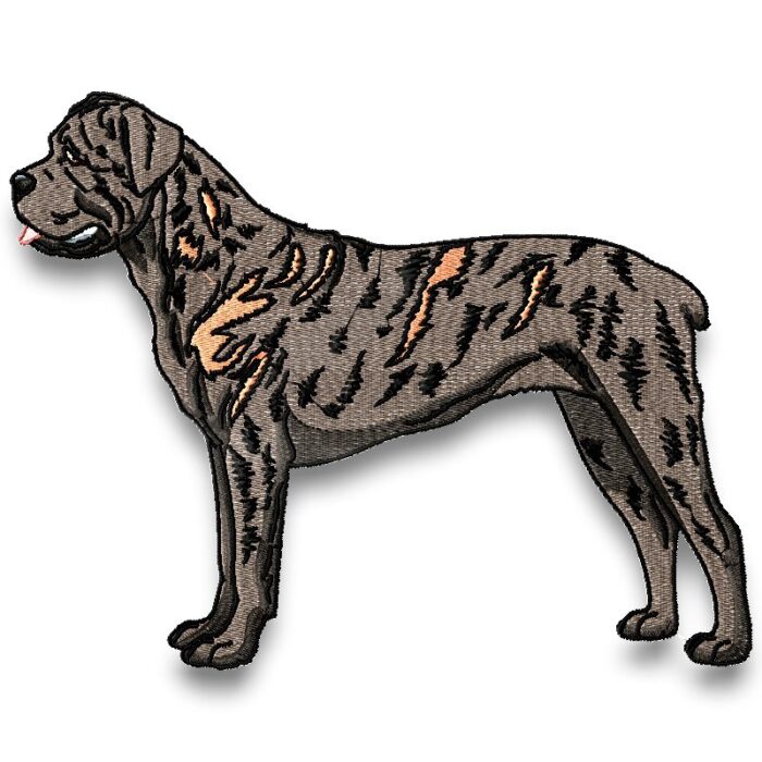 Cane Corso Realistic