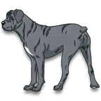 Cane Corso Realistic