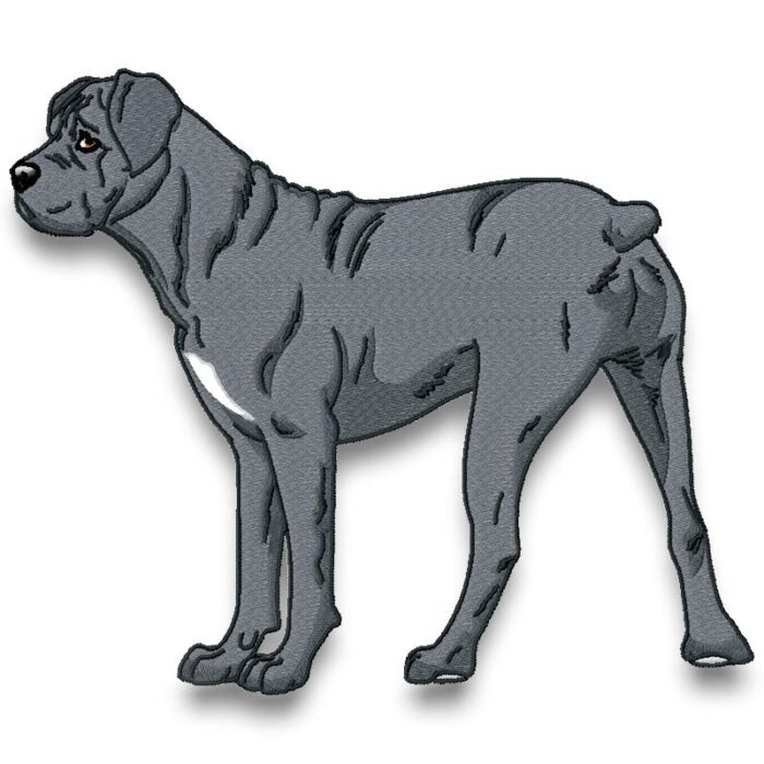 Cane Corso Realistic