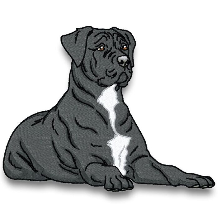 Cane Corso Realistic