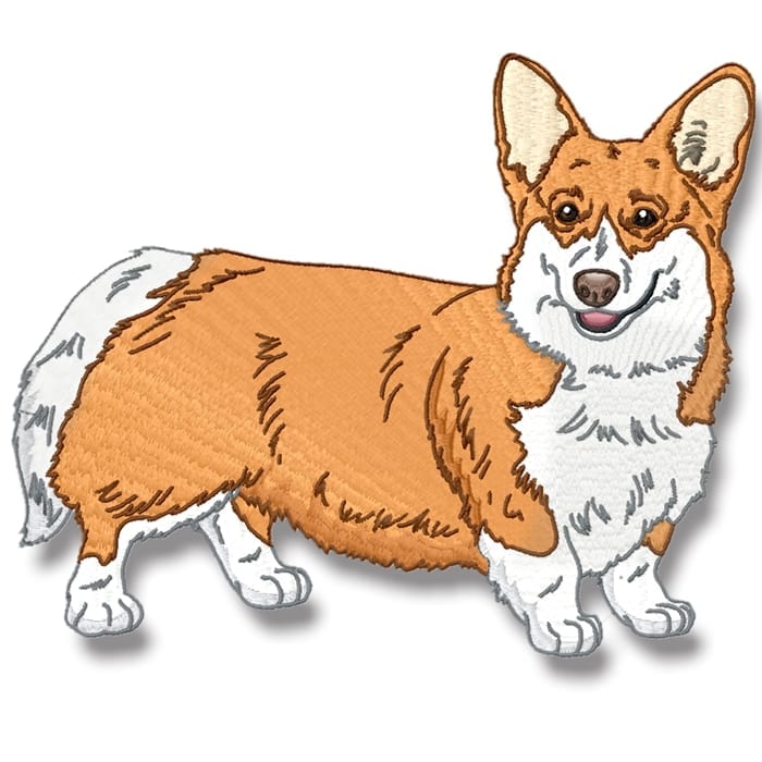 Corgi Realistic