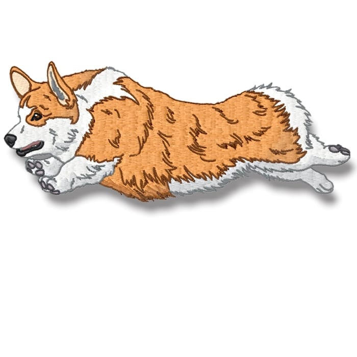 Corgi Realistic