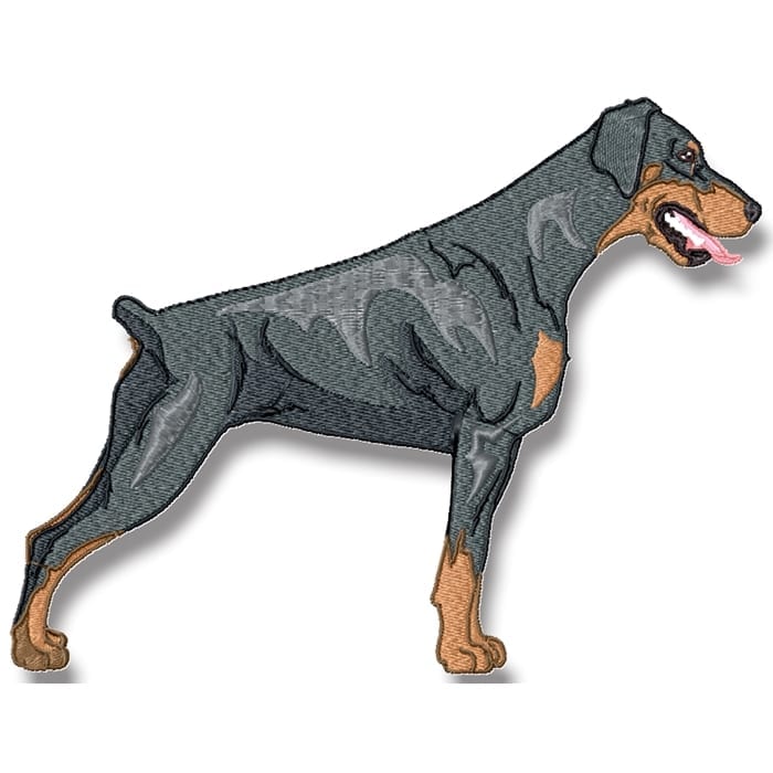 Doberman Realistic