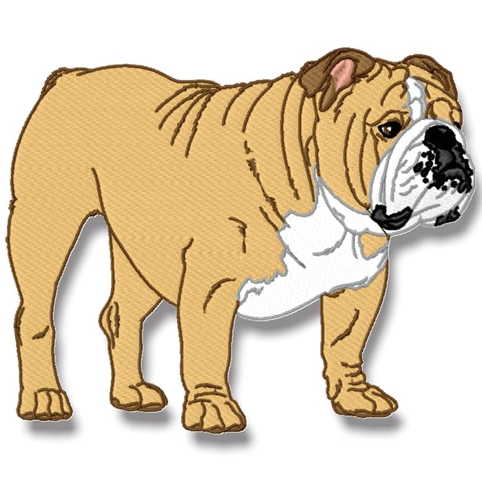 English Bulldog Realistic Set