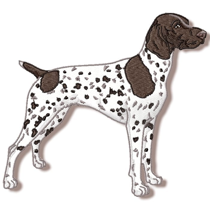 German Shorthaired Pointer Realistic