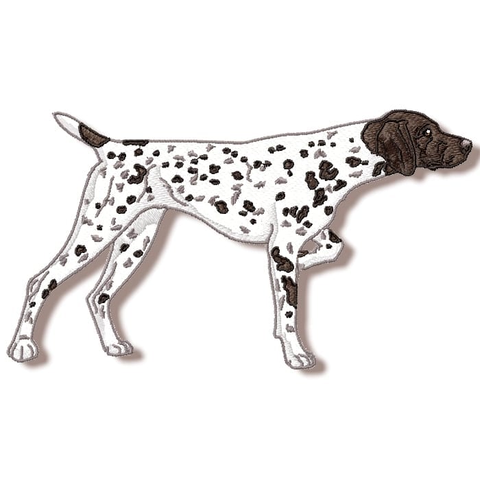 German Shorthaired Pointer Realistic