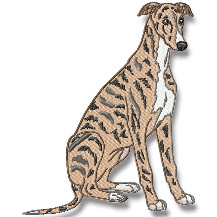 Greyhound Realistic