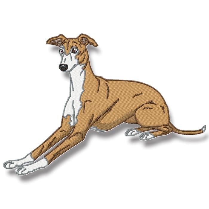 Greyhound Realistic