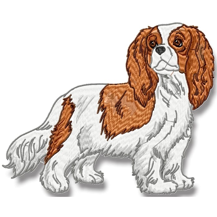 King Charles Cavalier Realistic