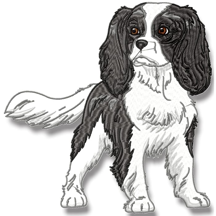 King Charles Cavalier Realistic