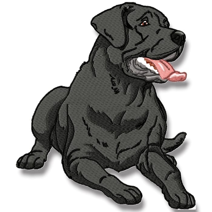 Labrador Realistic