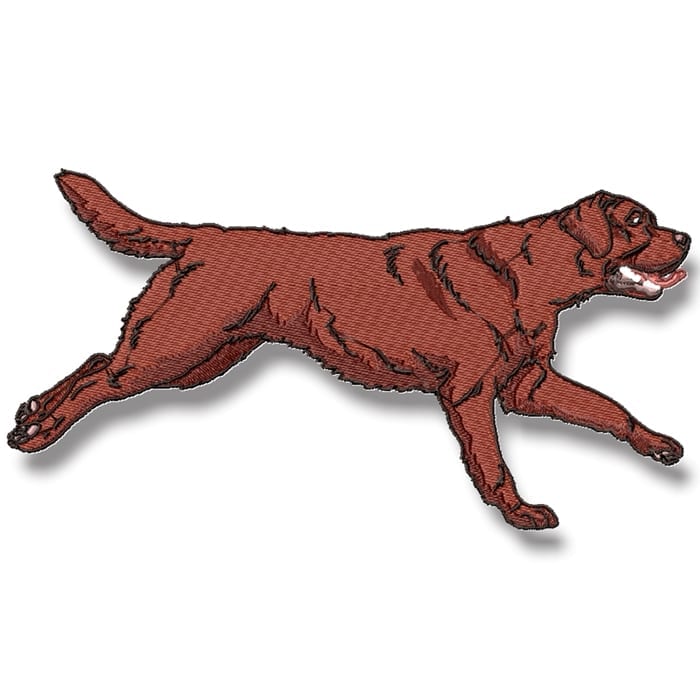Labrador Realistic