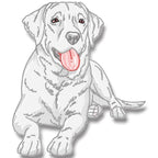 Labrador Realistic
