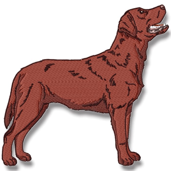 Labrador Realistic
