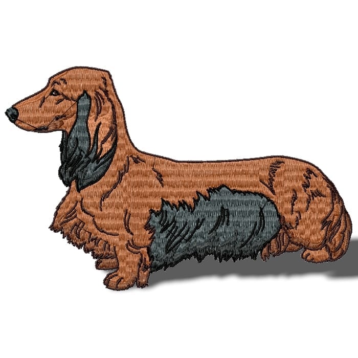 Dachshund Longhair Realistic